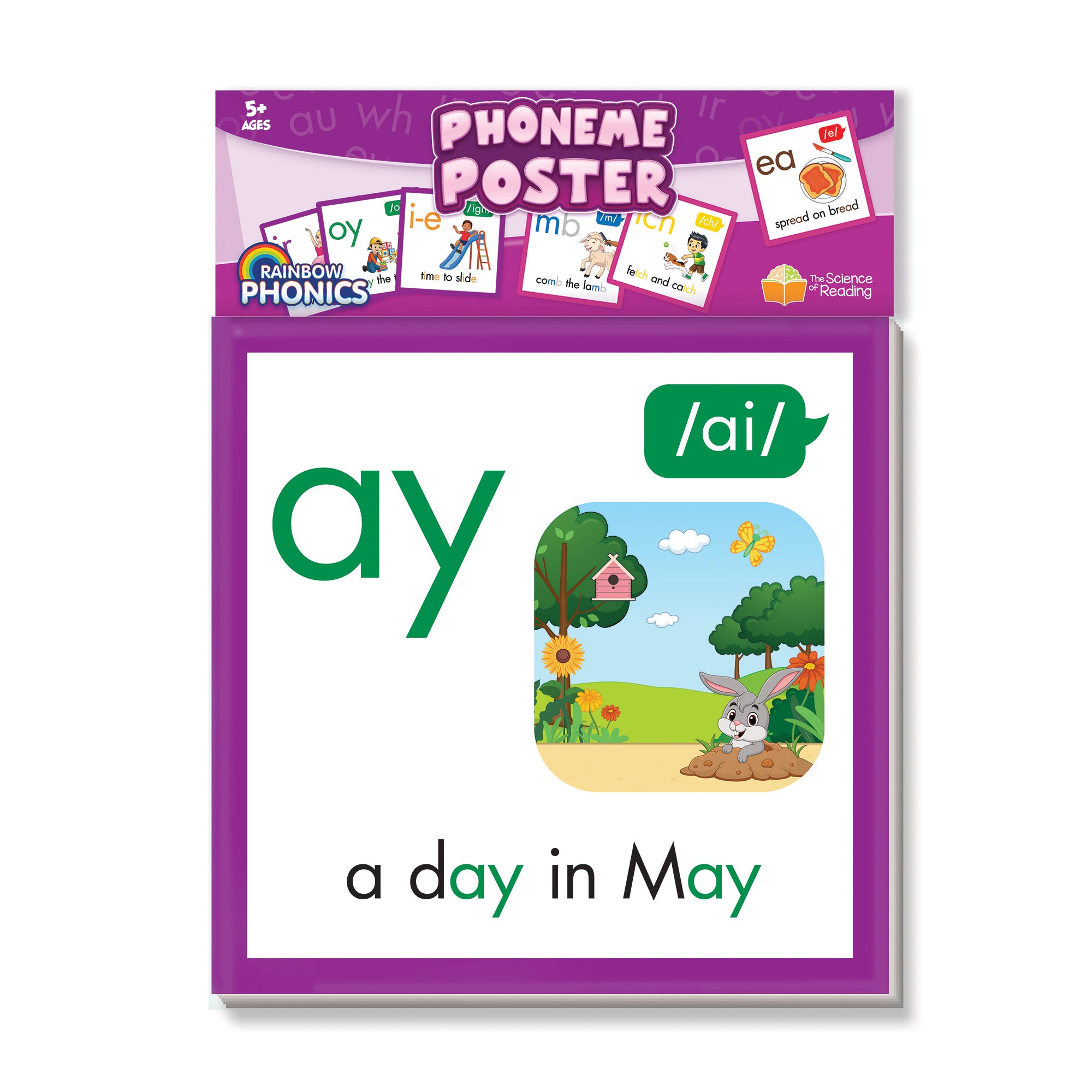 Phoneme Poster (Phoneme Frieze)