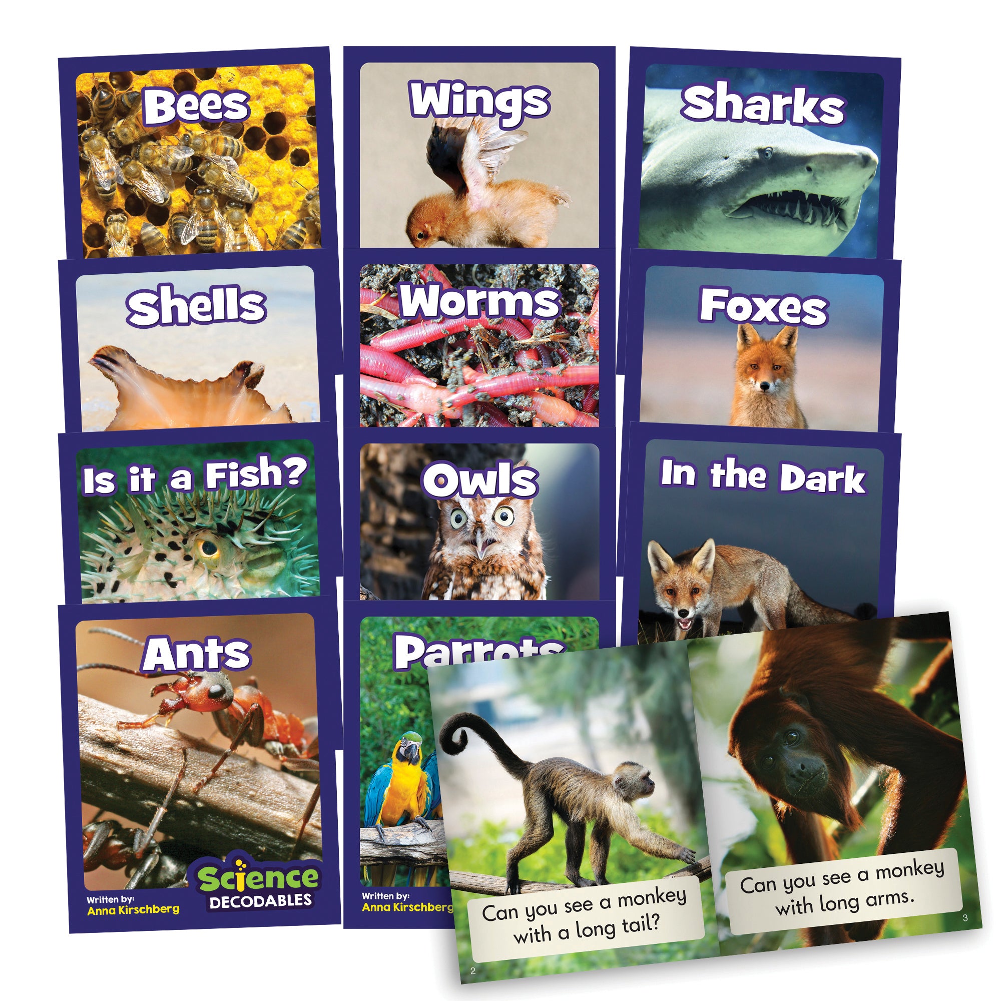 Letters and Sounds Phase 3 Phonics Single Kit