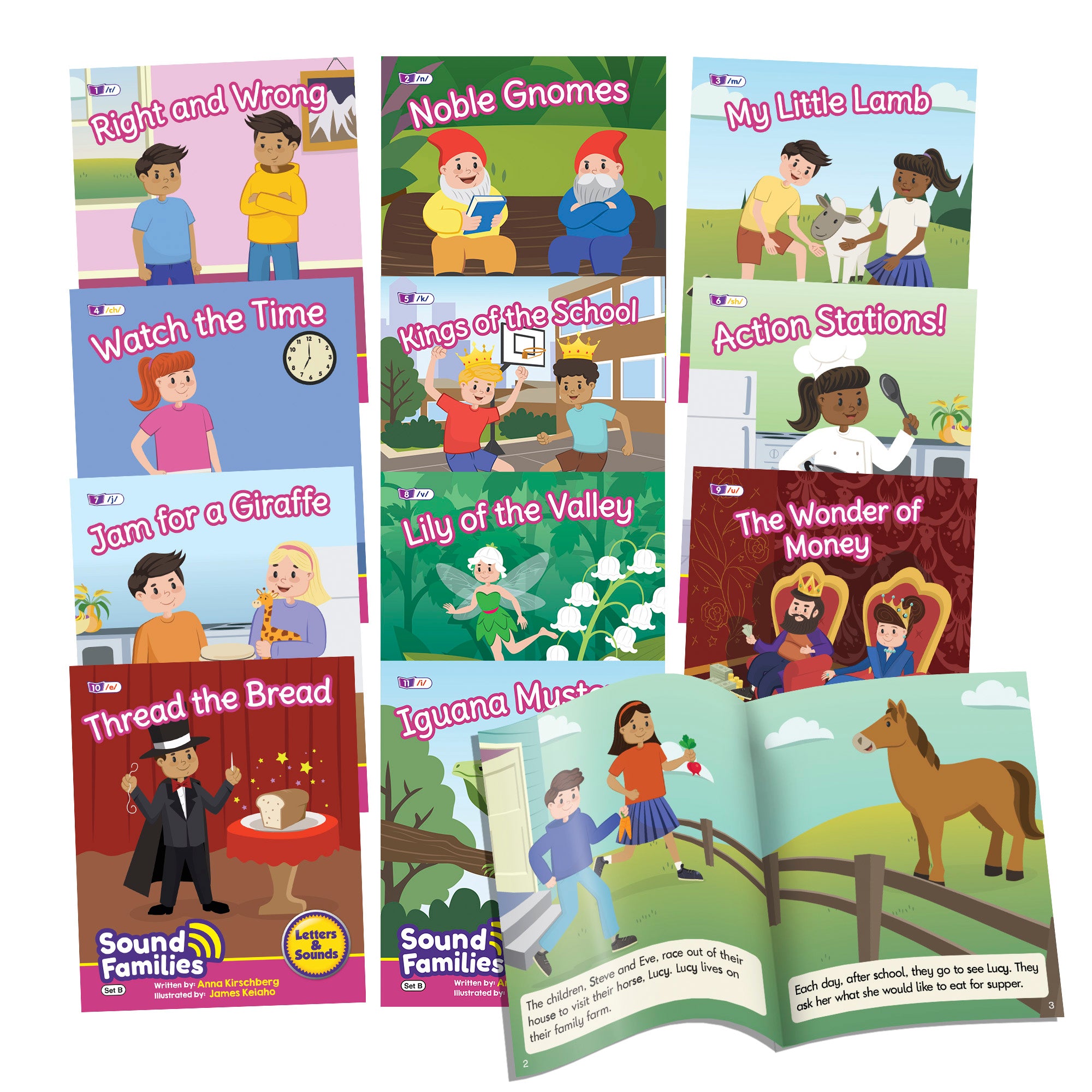 Sound Families Consonants Fiction Phase 5.5 - 6 pack