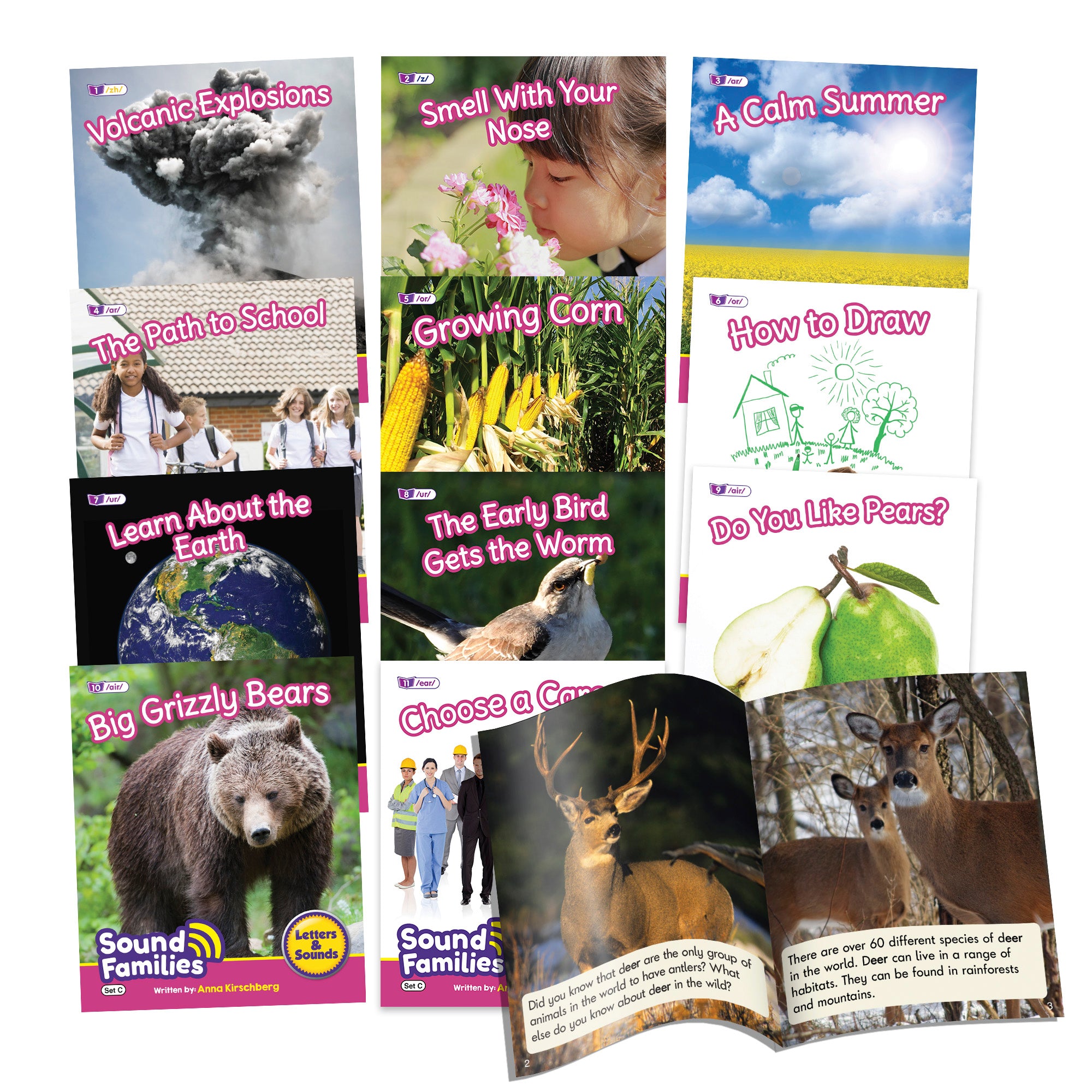 Sound Families R-controlled Non-Fiction Phase 5.5 - 6 pack