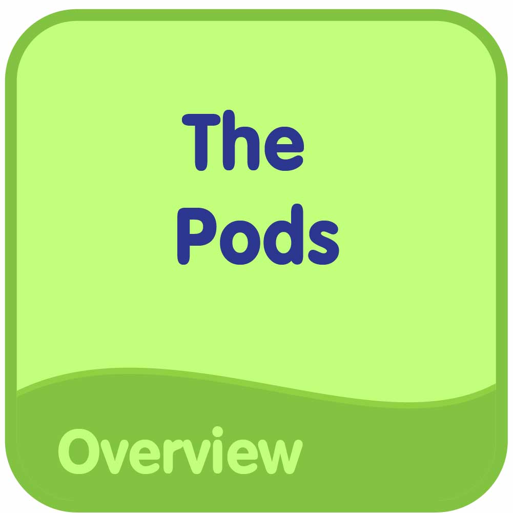 The Pods Overview